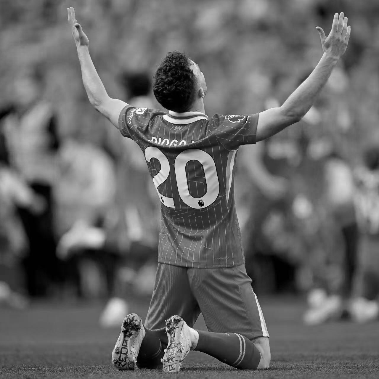 博主发若塔车祸路段实拍：道路受损严重急需维修，常有野生动物出没